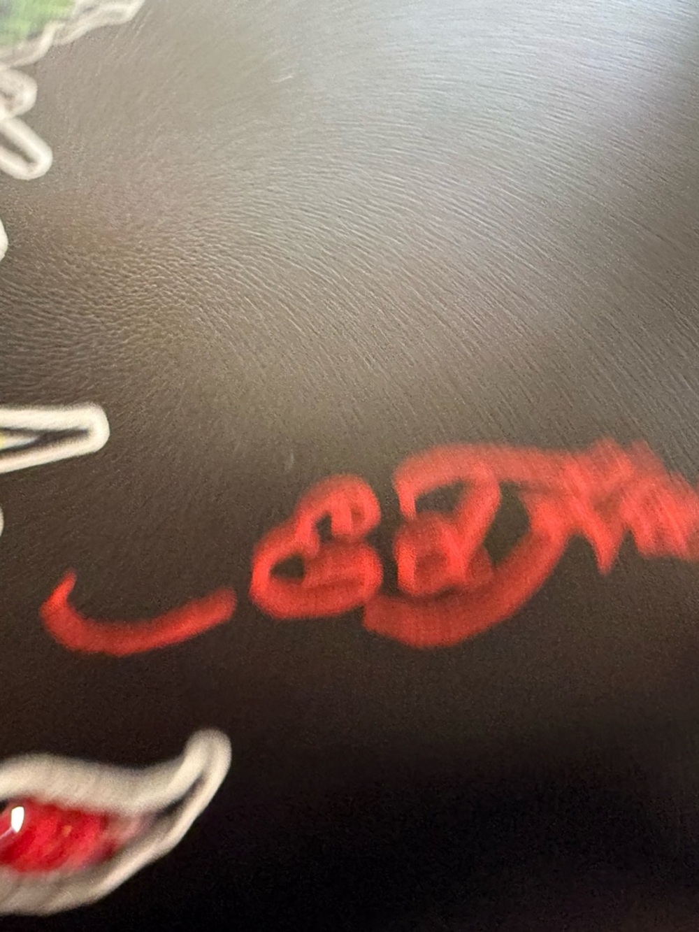 Ed Hardy Black Skull & Roses Decorative Pouch with Red Script - Picture 5 of 6